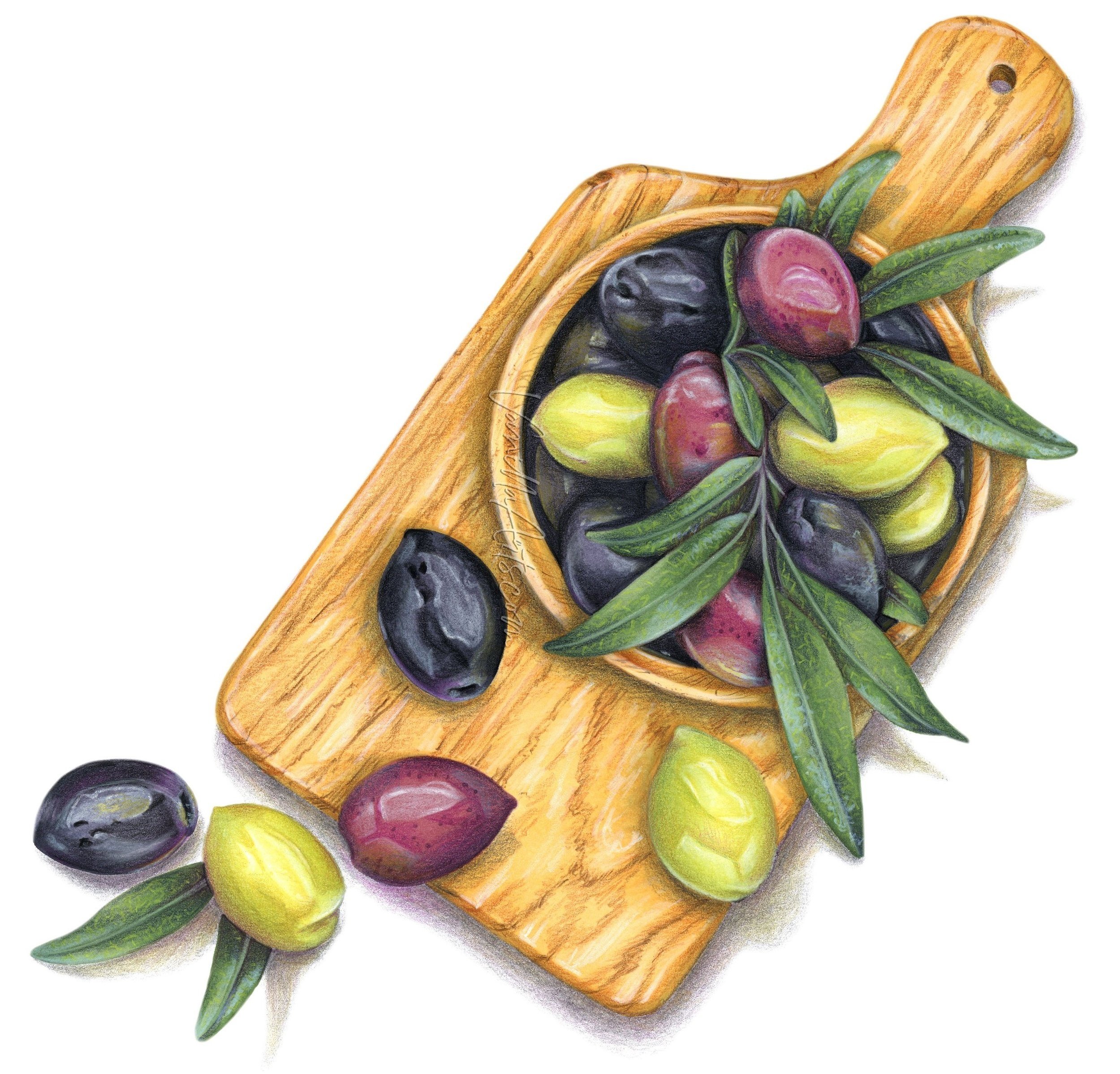 "Olives" learn to develop intuitive color with Copic Marker + colored pencil. Adult coloring w/ Amy Shulke, VanillaArts.com