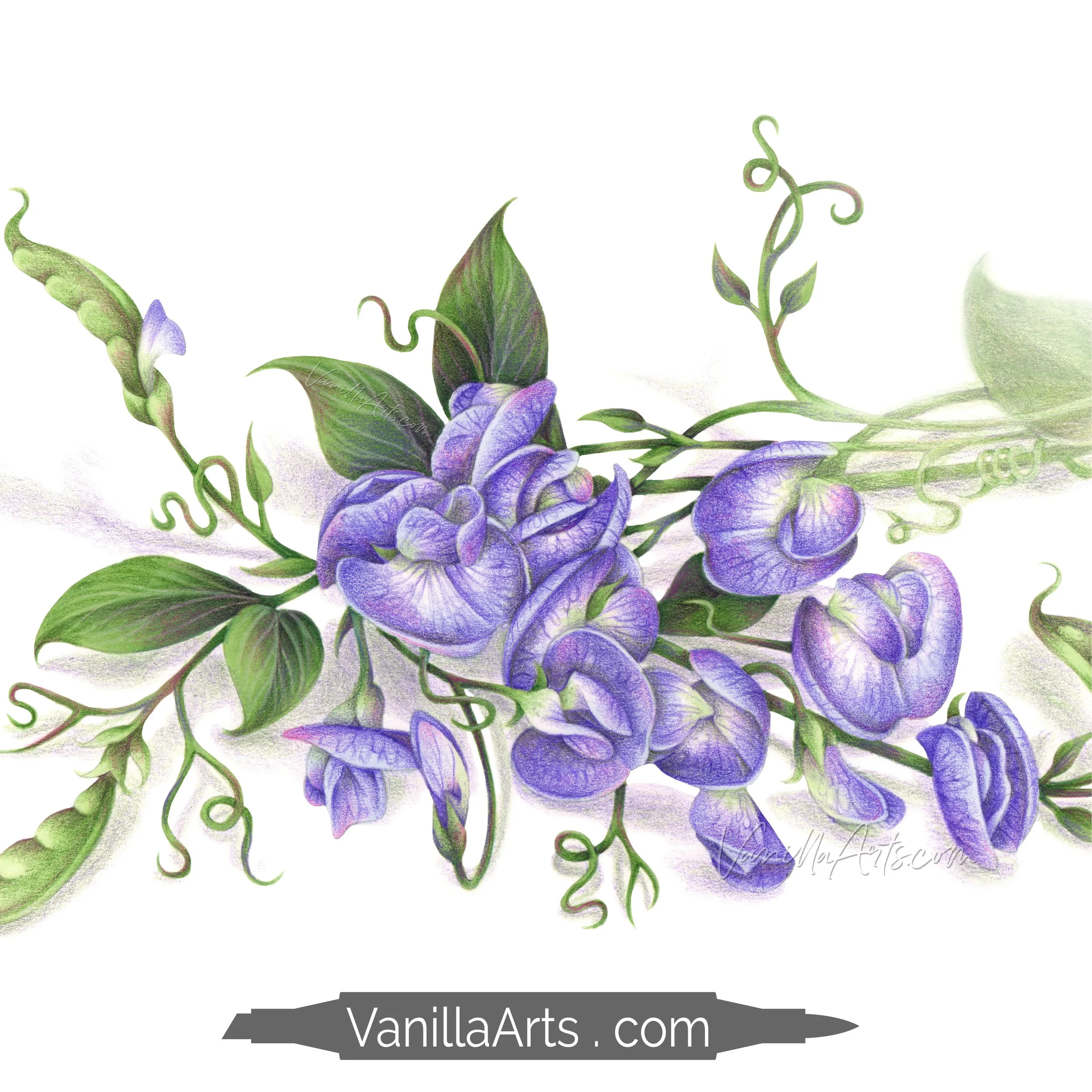 Sweet Pea Stamp Shop Square Promo.jpg