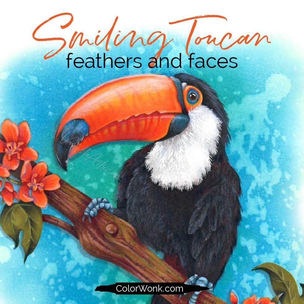 Toucan Lesson.jpg