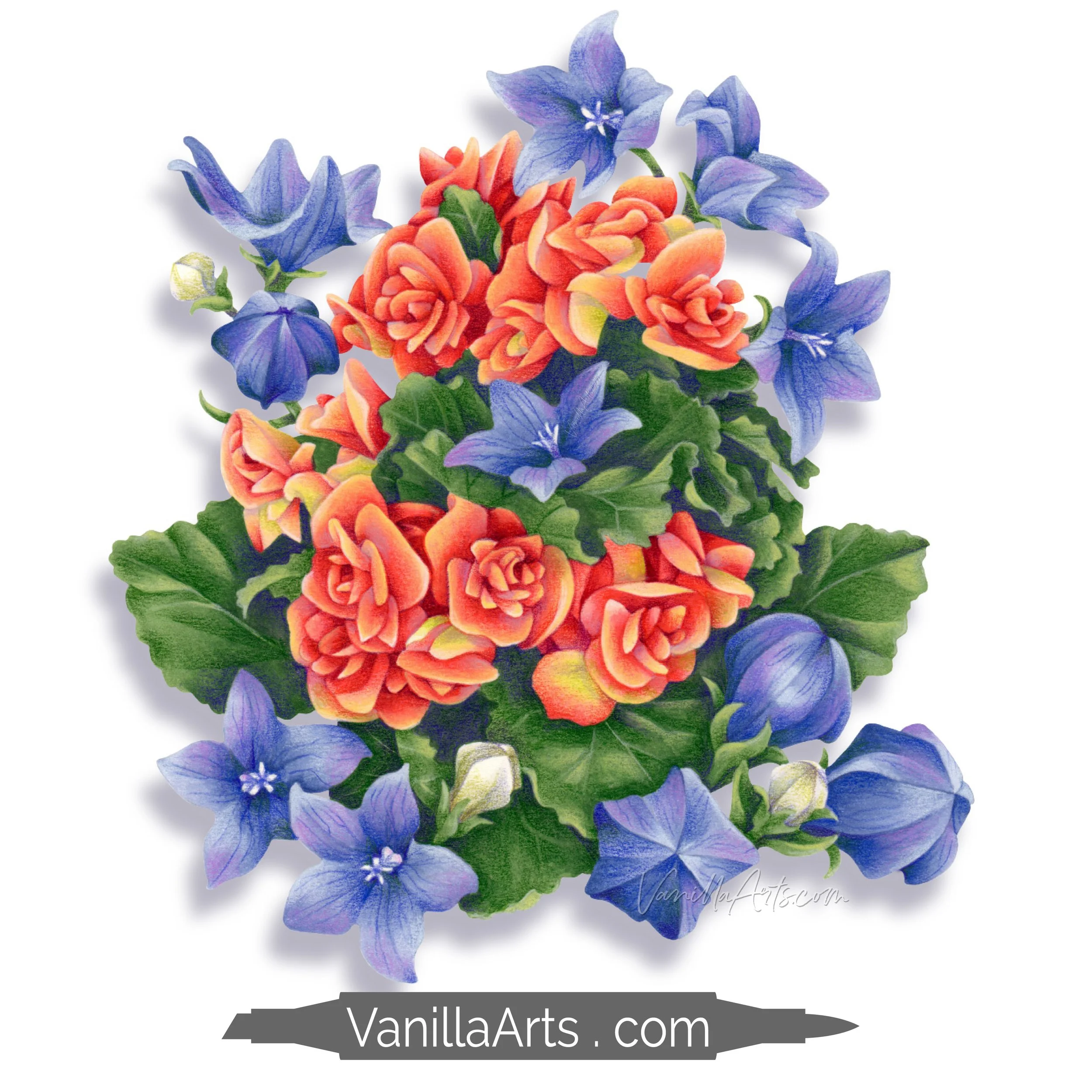 Begonia & Balloons Stamp Shop Square Promo.jpg