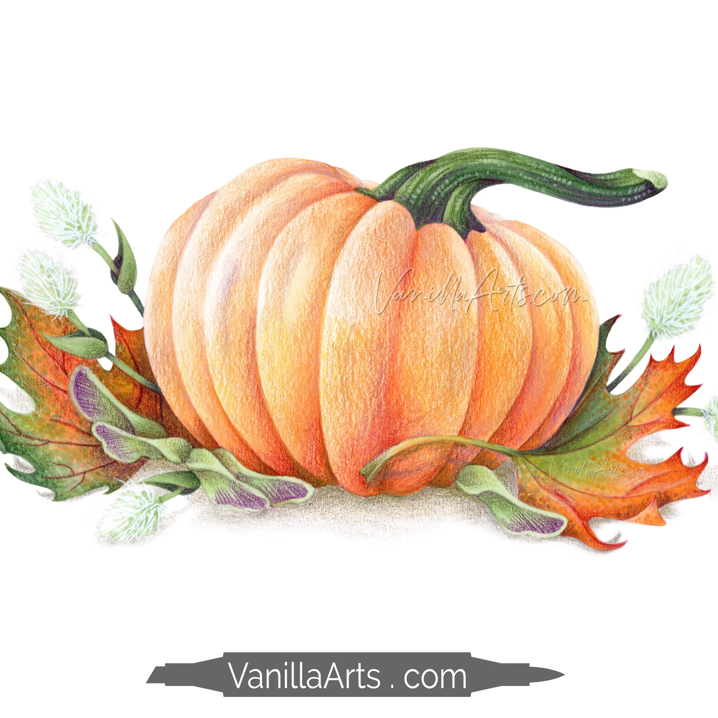 Maple Pumpkin Stamp Shop Square Promo.jpg