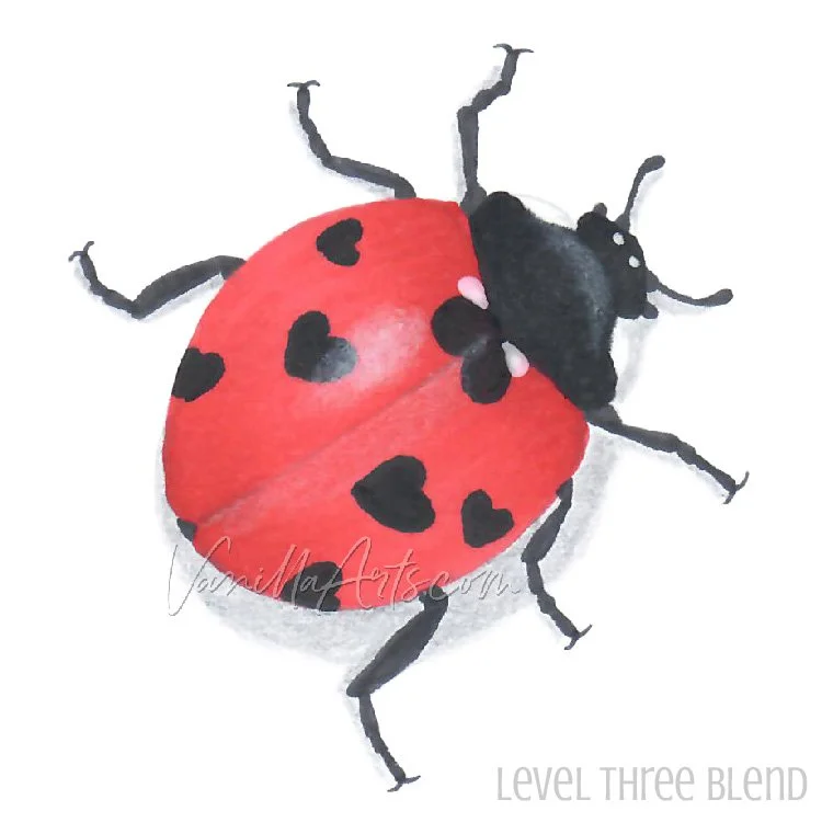 Ladybug 3 SS Sample.jpg