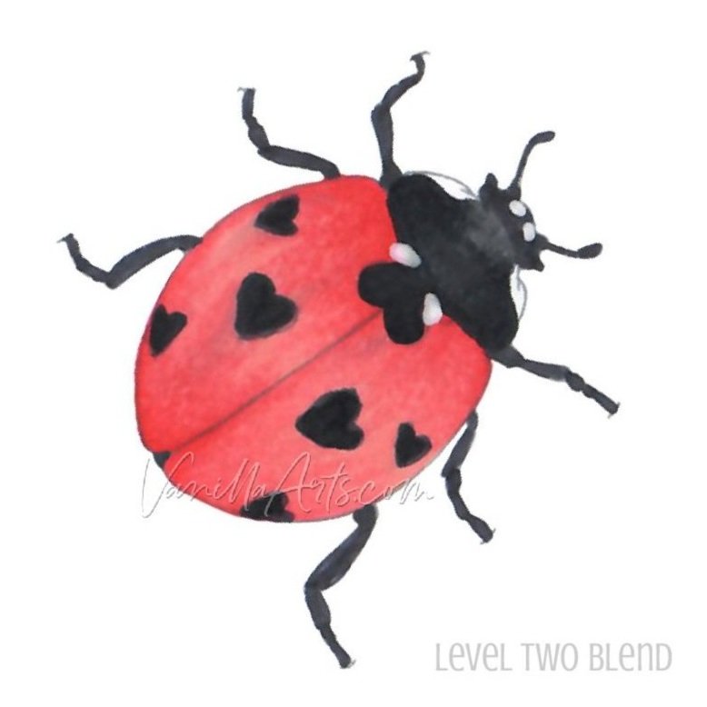 Ladybug 2 SS Sample.jpg