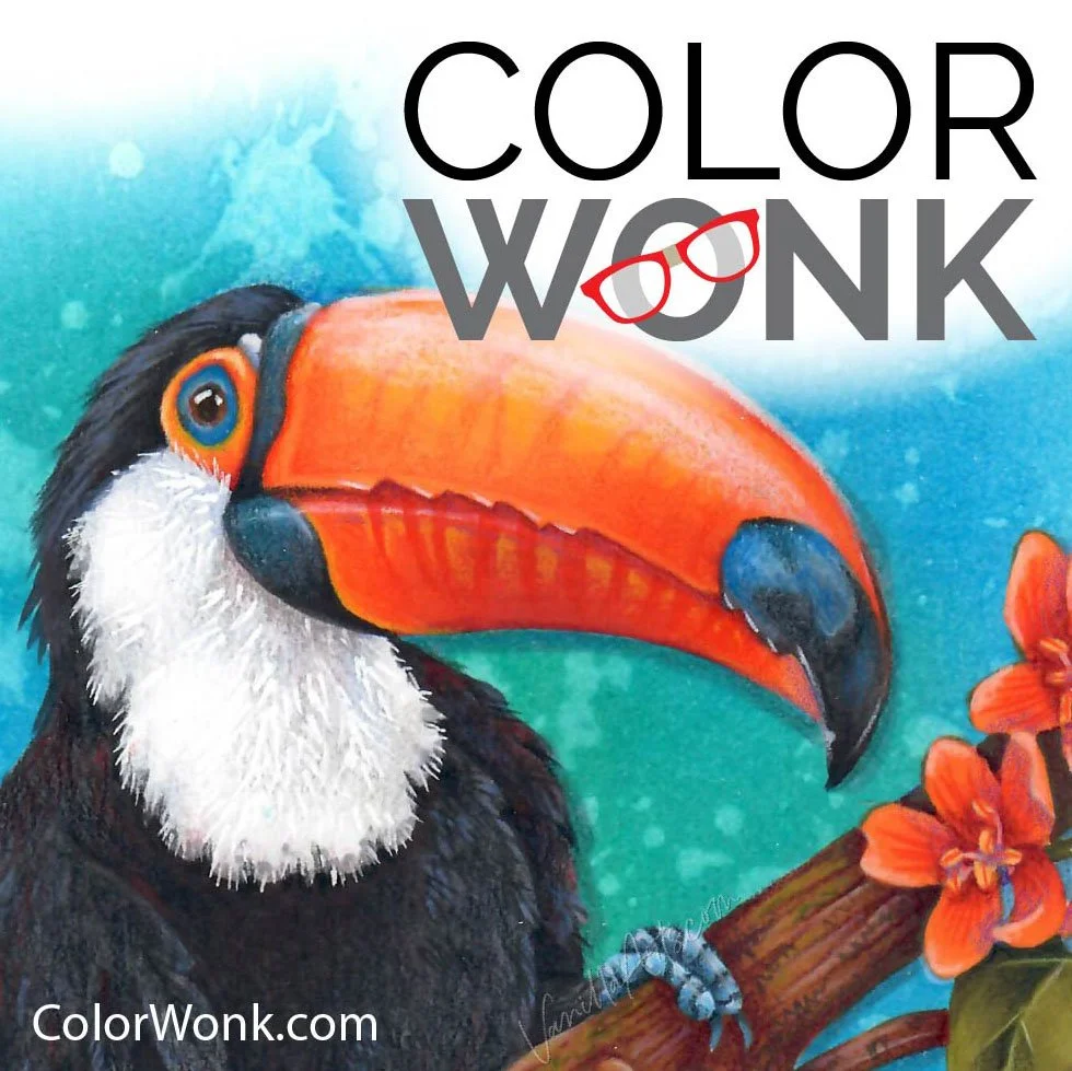 Color Realistic Birds with Copic Marker + Colored Pencil