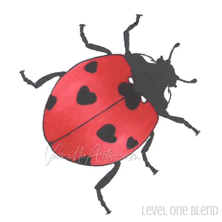 Ladybug 1 SS Sample.jpg
