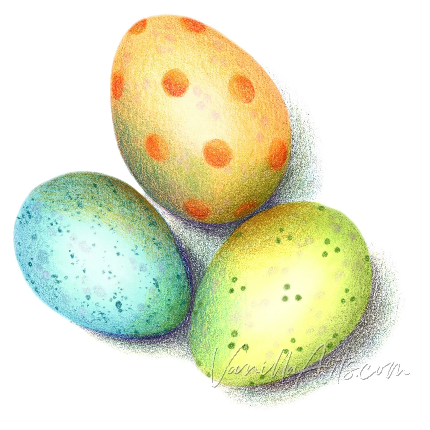 Spotted Eggs FC h2o.jpg
