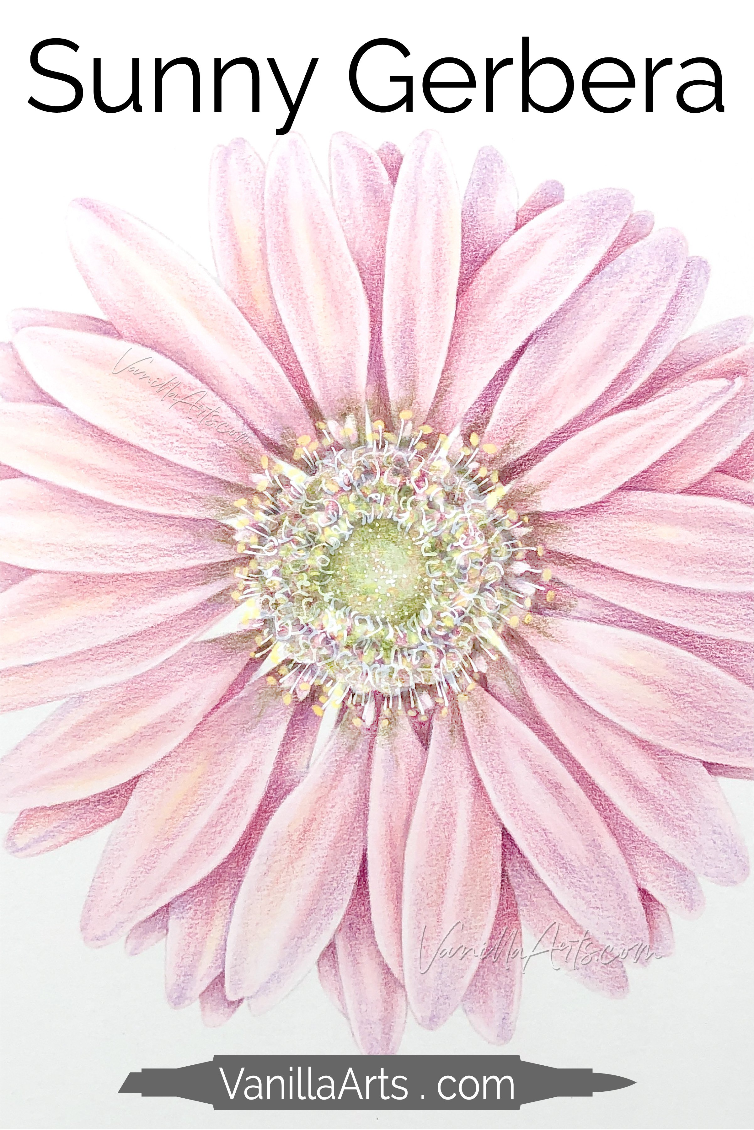 1 Sunny Gerbera SS Simple Promo.jpg