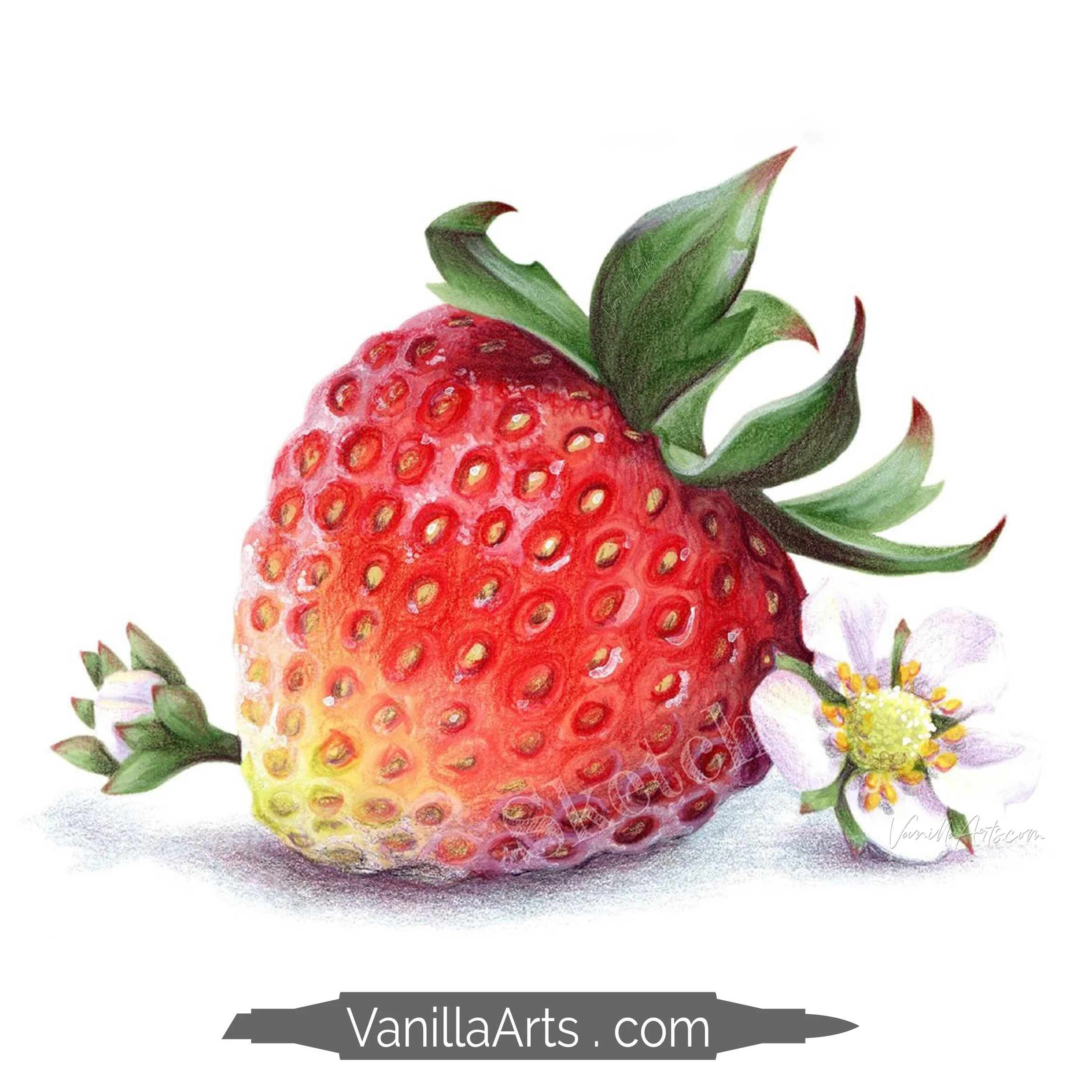 Rebel Strawberry Stamp Shop Square Promo.jpg