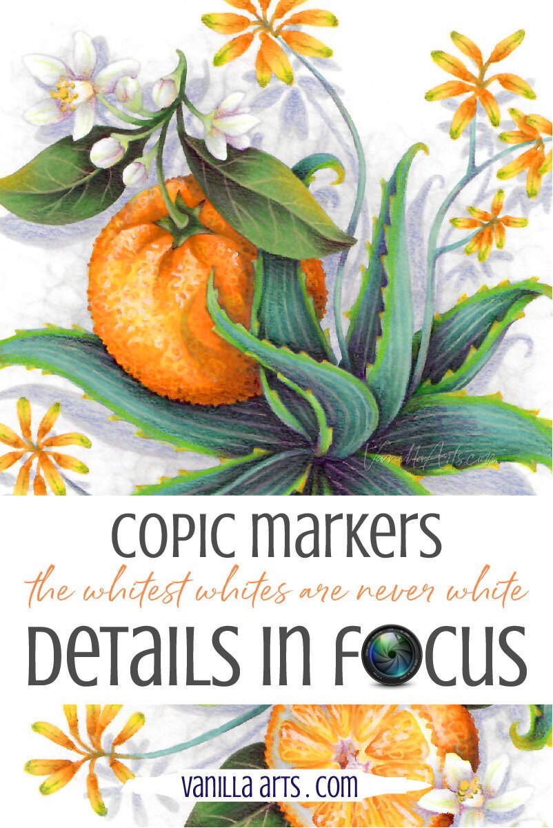 Details in Focus: Color White Flowers with a Rainbow