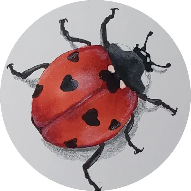 Pat Ladybug Blend.jpg