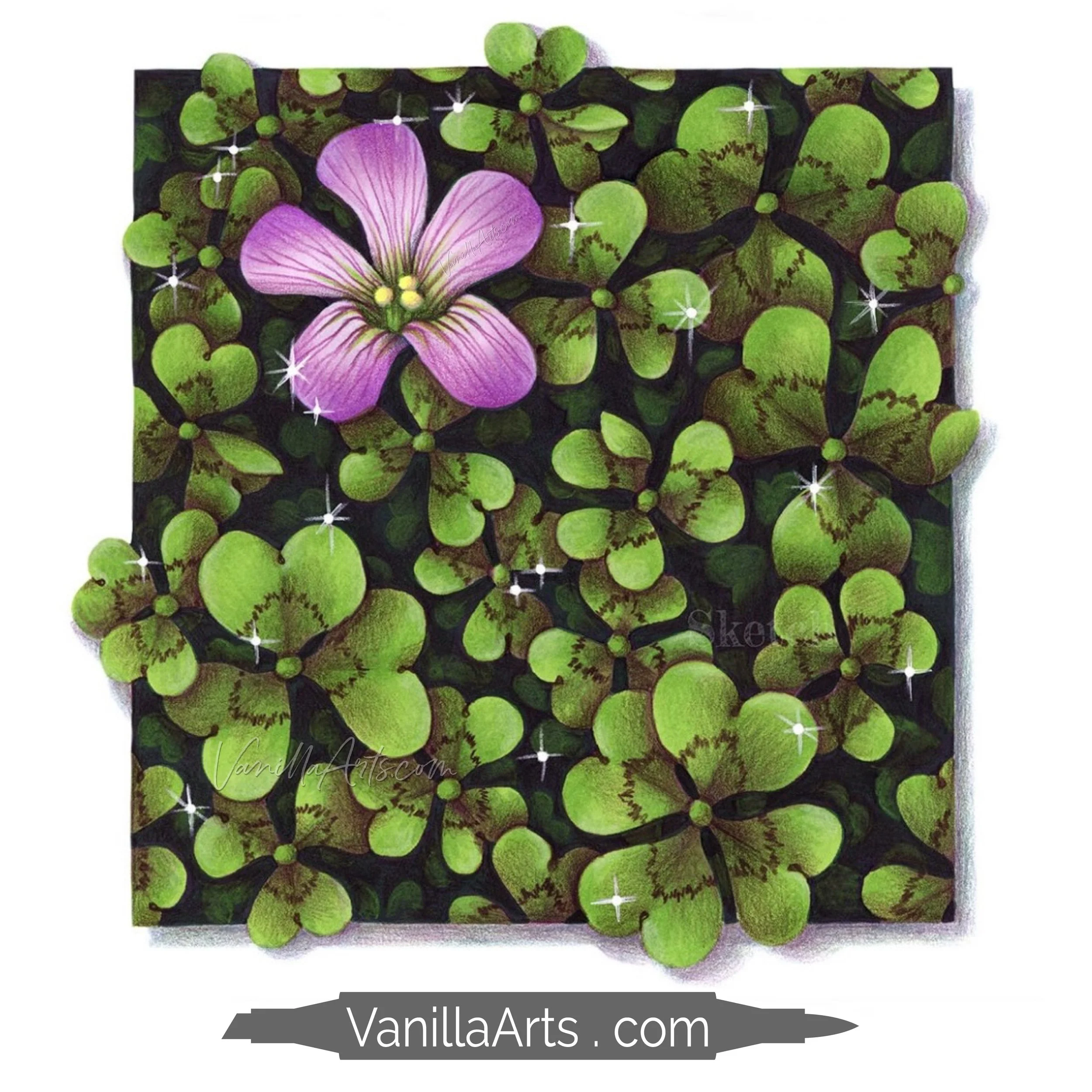 Shamrock Field Stamp Shop Square Promo.jpg