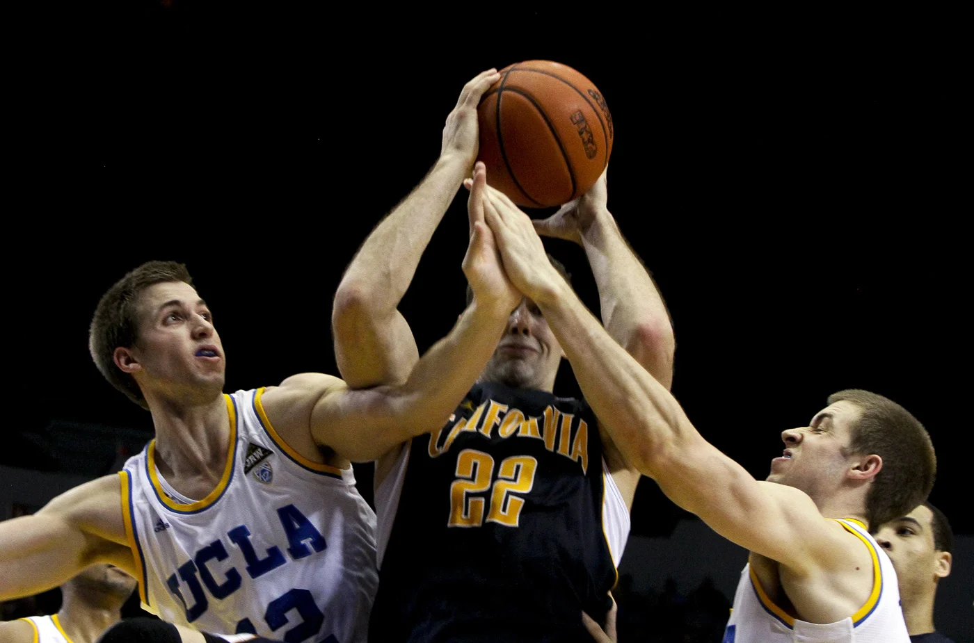 170491.SP.0211.uclacal1.AC.jpg