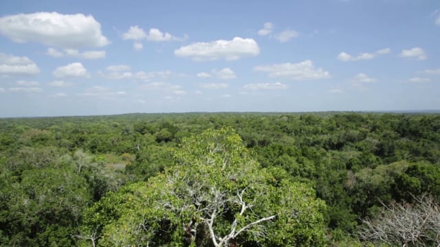 Trailer 'Sobre Tigres Y Quijotes'