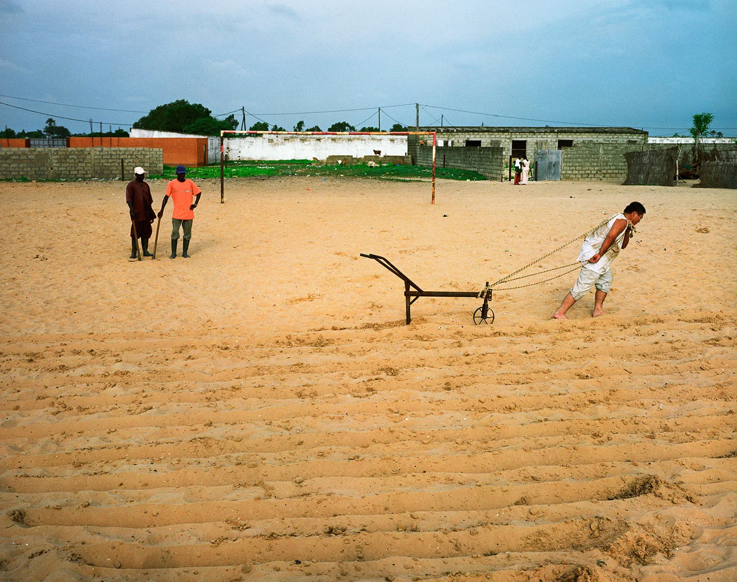 Rice, Senegal