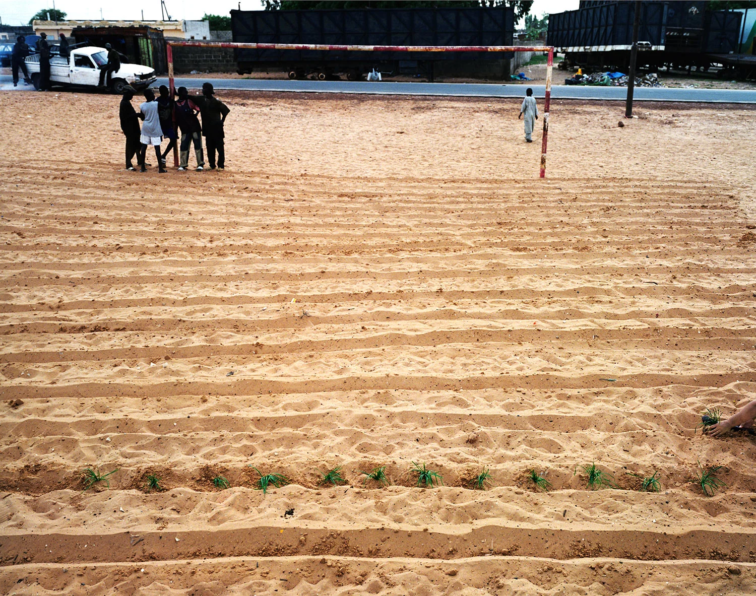 Rice, Senegal