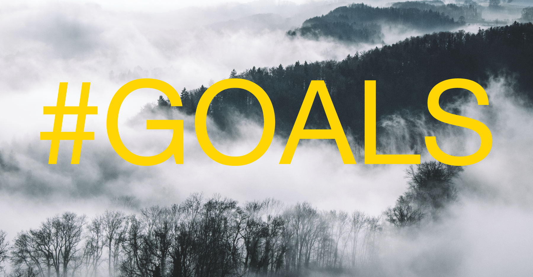 GOALS.png
