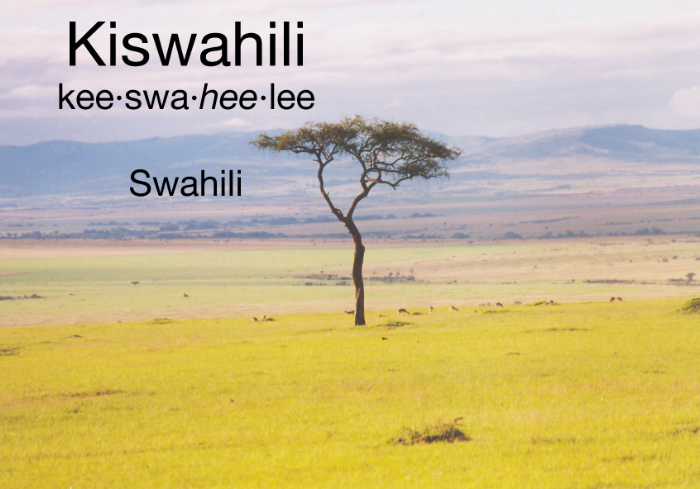 Kwaheri is Swahili for Goodbye.