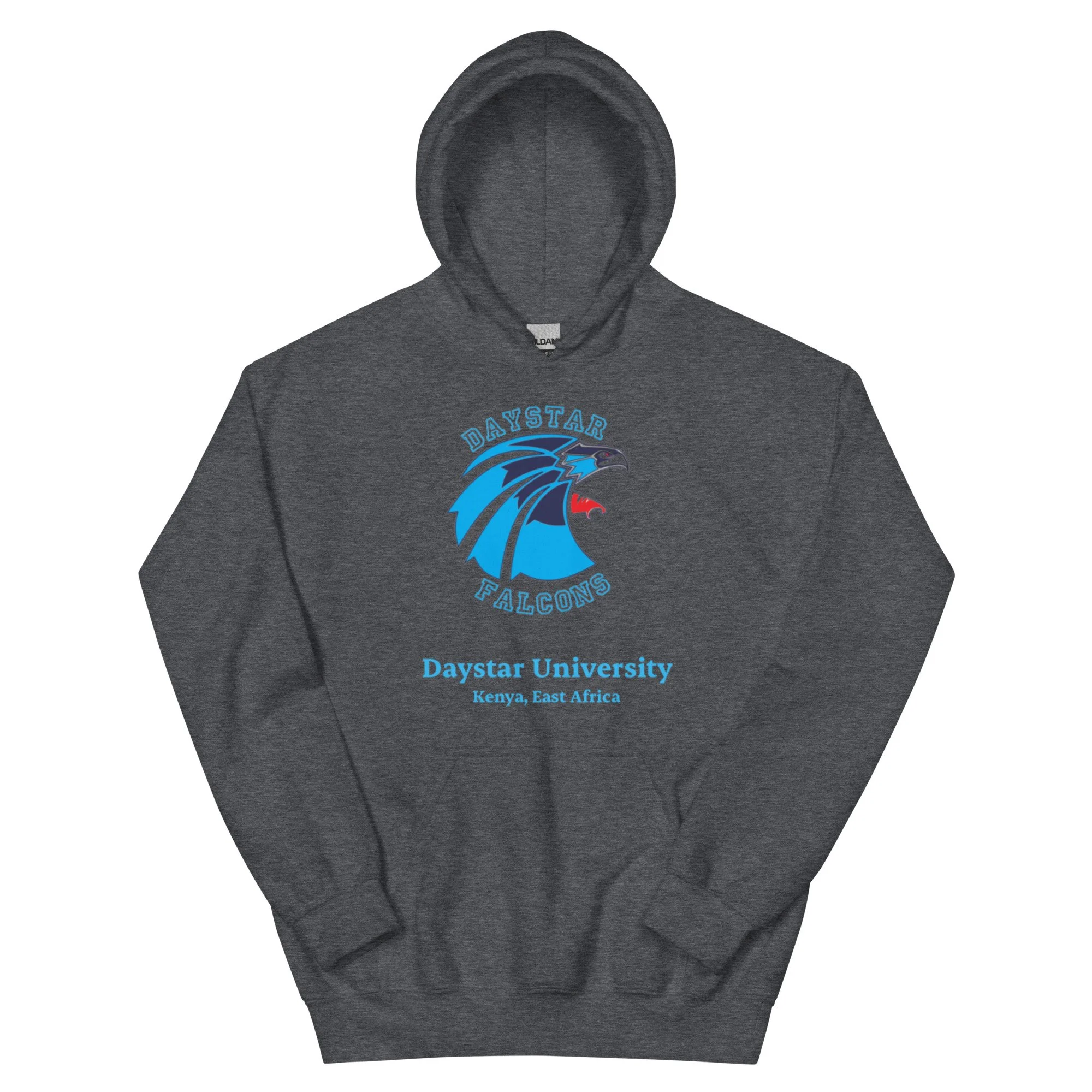 unisex-heavy-blend-hoodie-dark-heather-front-693c7f2902af0.jpg