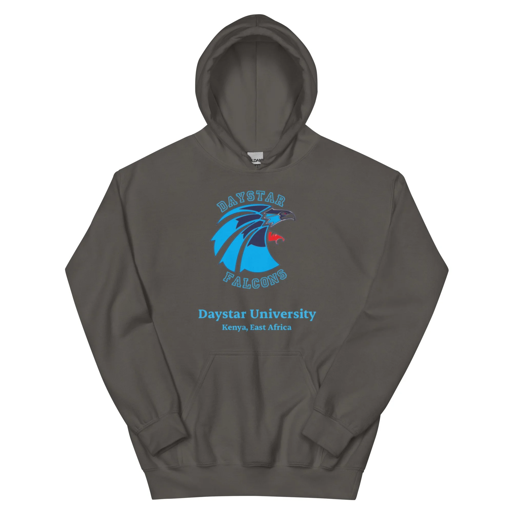 unisex-heavy-blend-hoodie-charcoal-front-693c7f2922edd.jpg