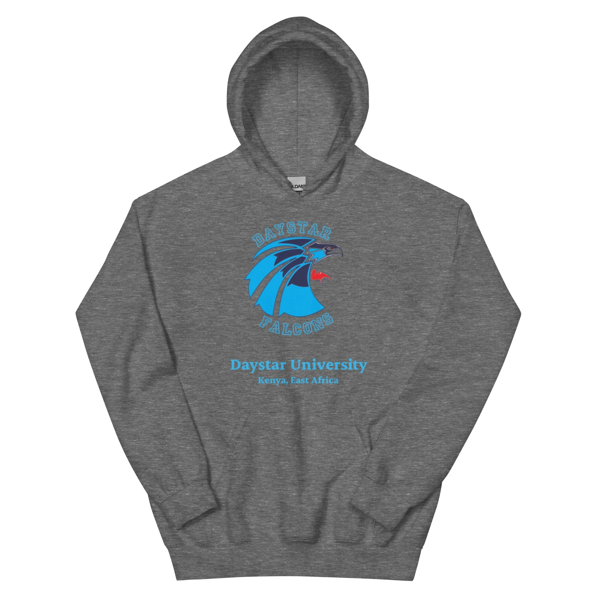 unisex-heavy-blend-hoodie-graphite-heather-front-693c7f29658d9.jpg
