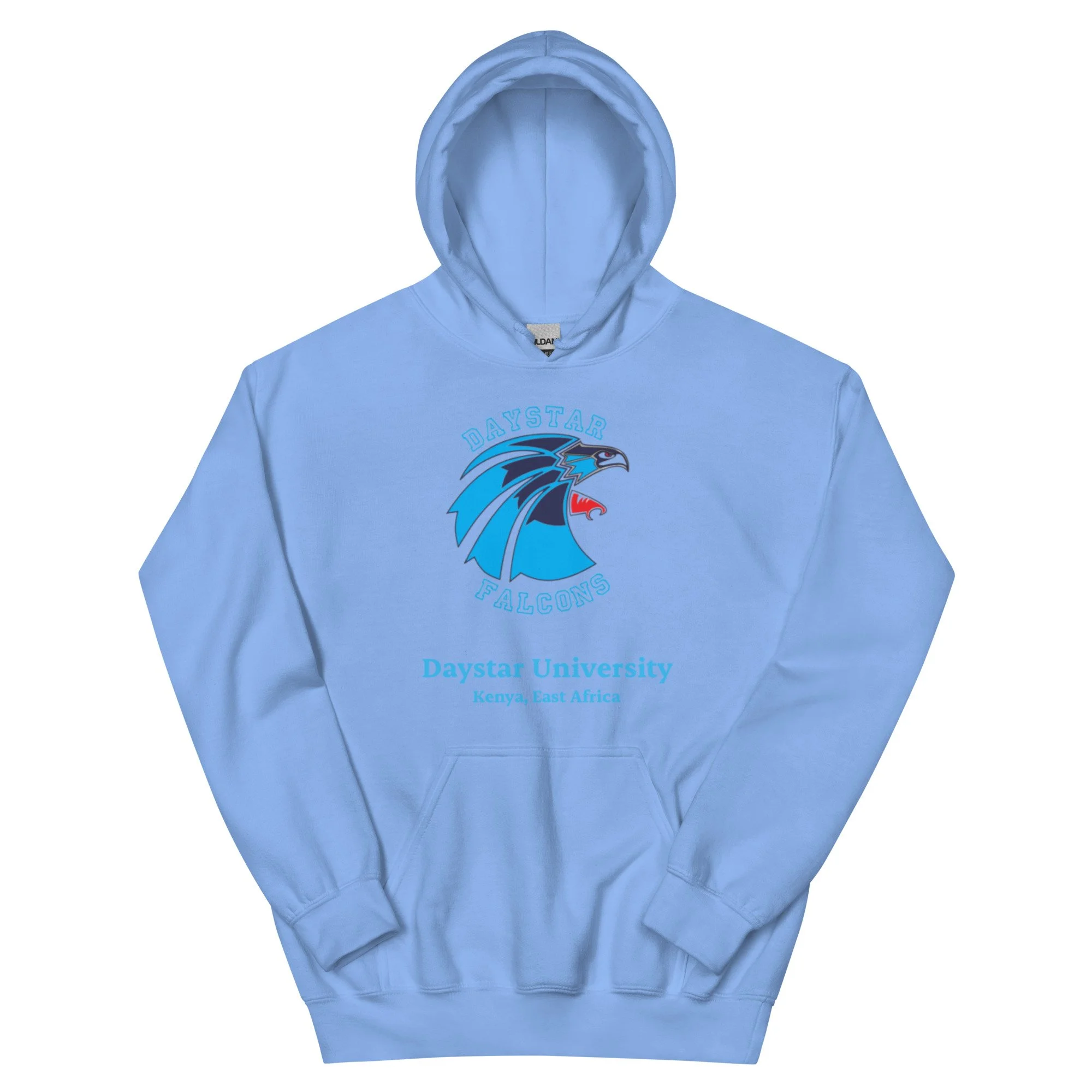 unisex-heavy-blend-hoodie-carolina-blue-front-693c7f299796b.jpg