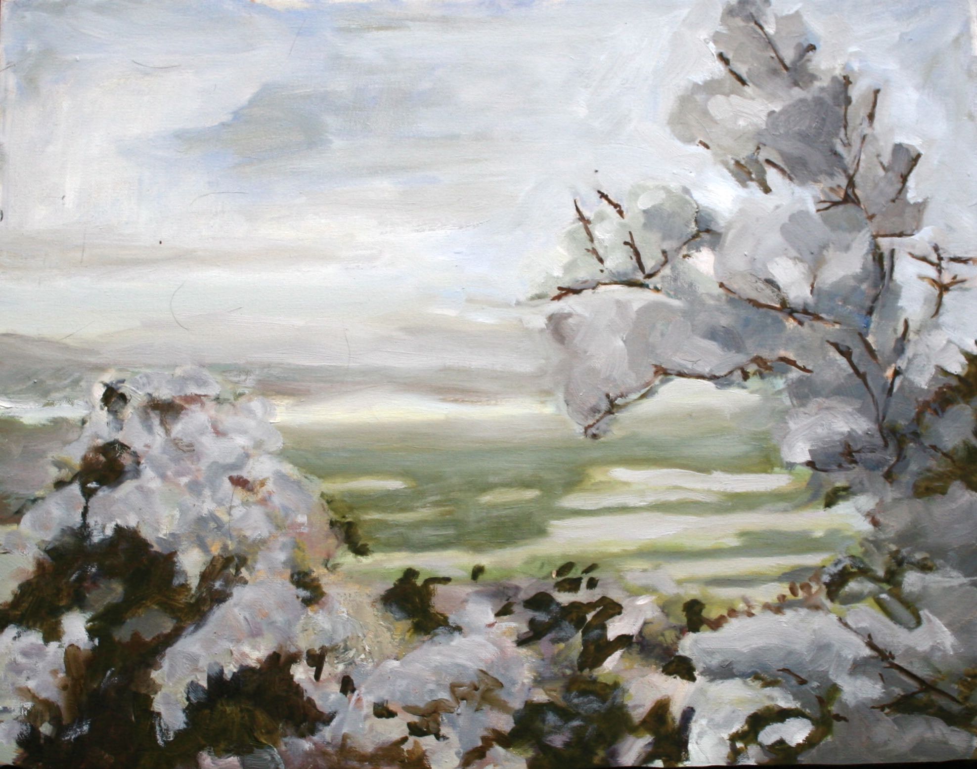 Spring Snow