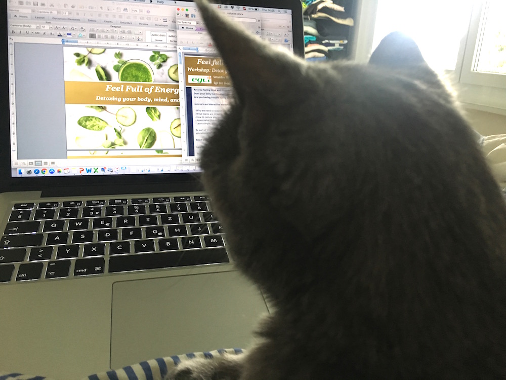 Personal assistant cat mimi detox workshop.jpg