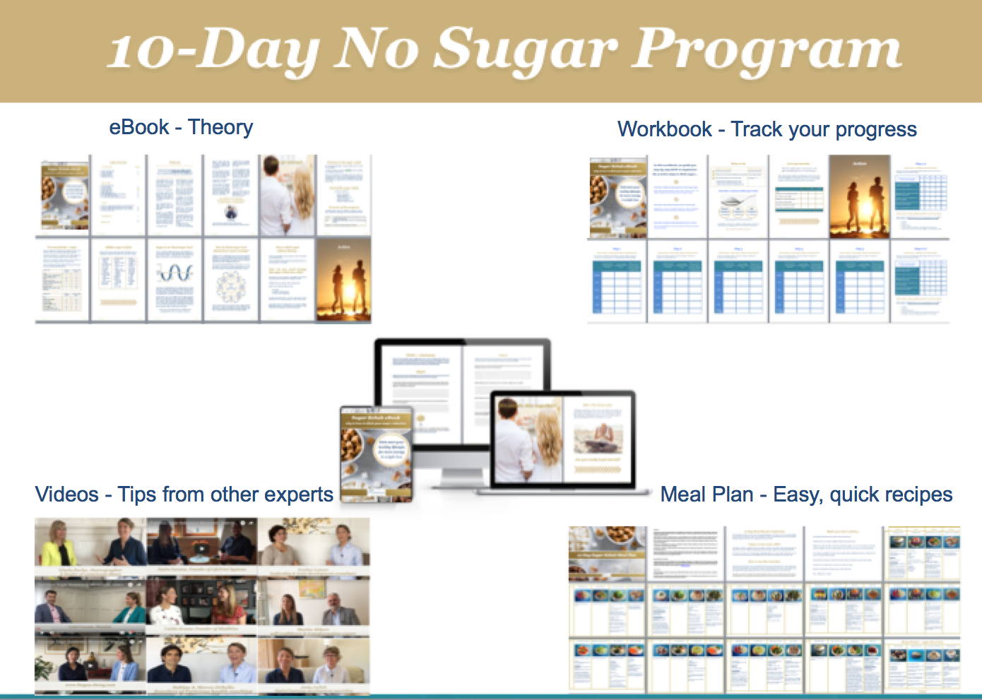 10-day no sugar program visual overview.png