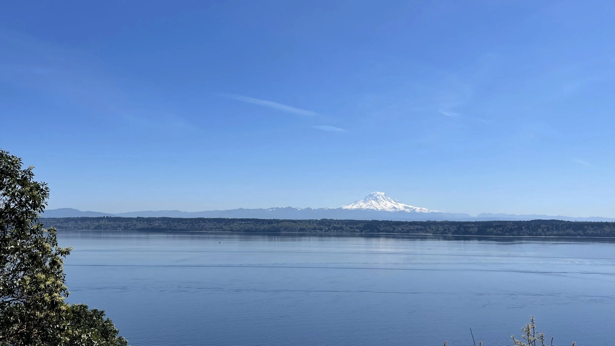 Viewpoint_April 2025.jpg