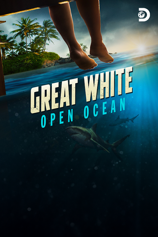 Great White Open Ocean