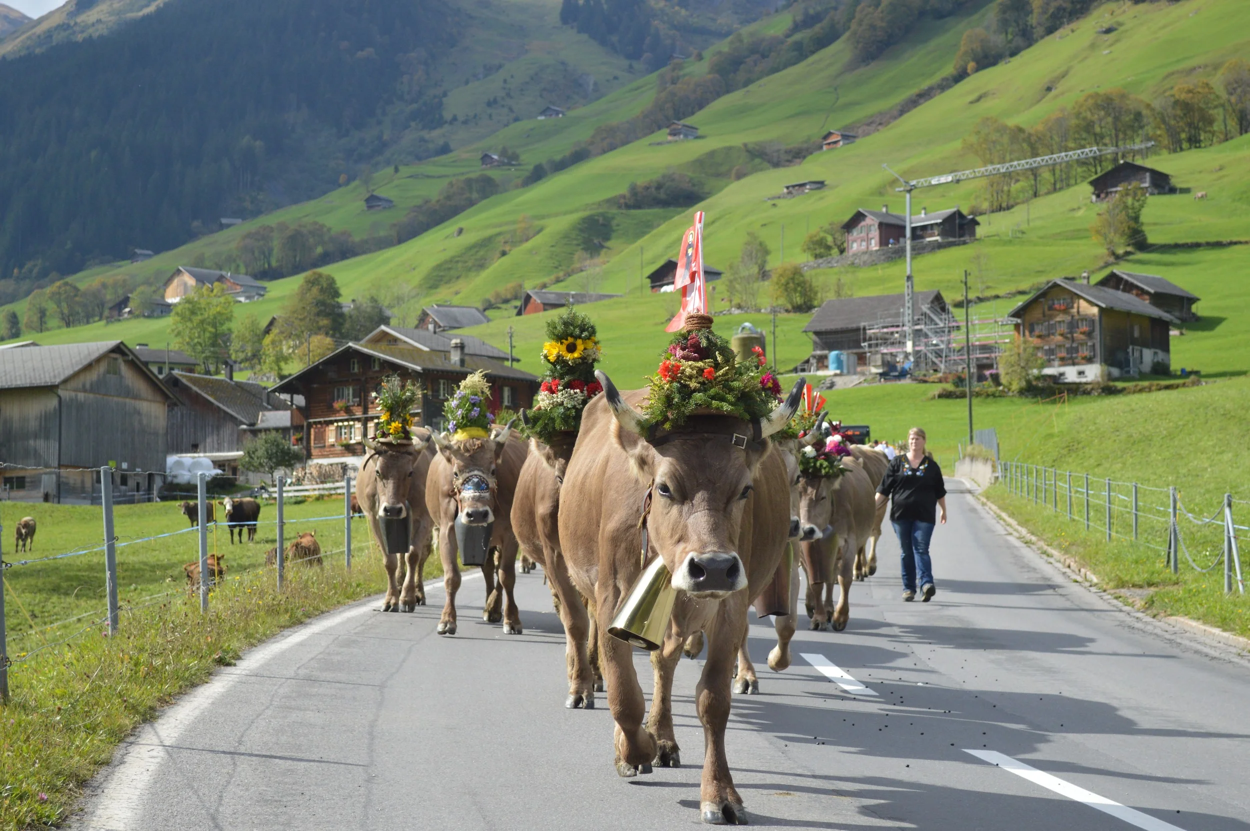 AWAY GAME: An Alpine Adventure