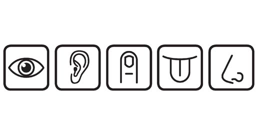 Sensory Evaluation Workshop