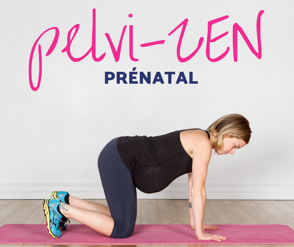 pelvi-ZEN (10).png