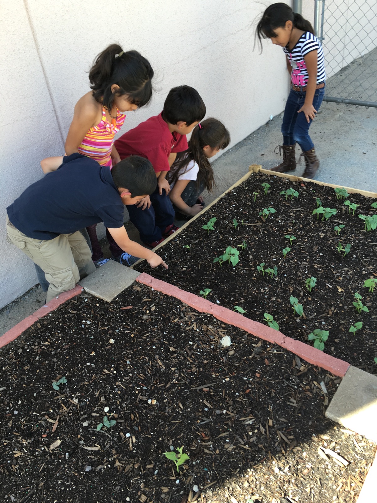 daycare garden.jpg