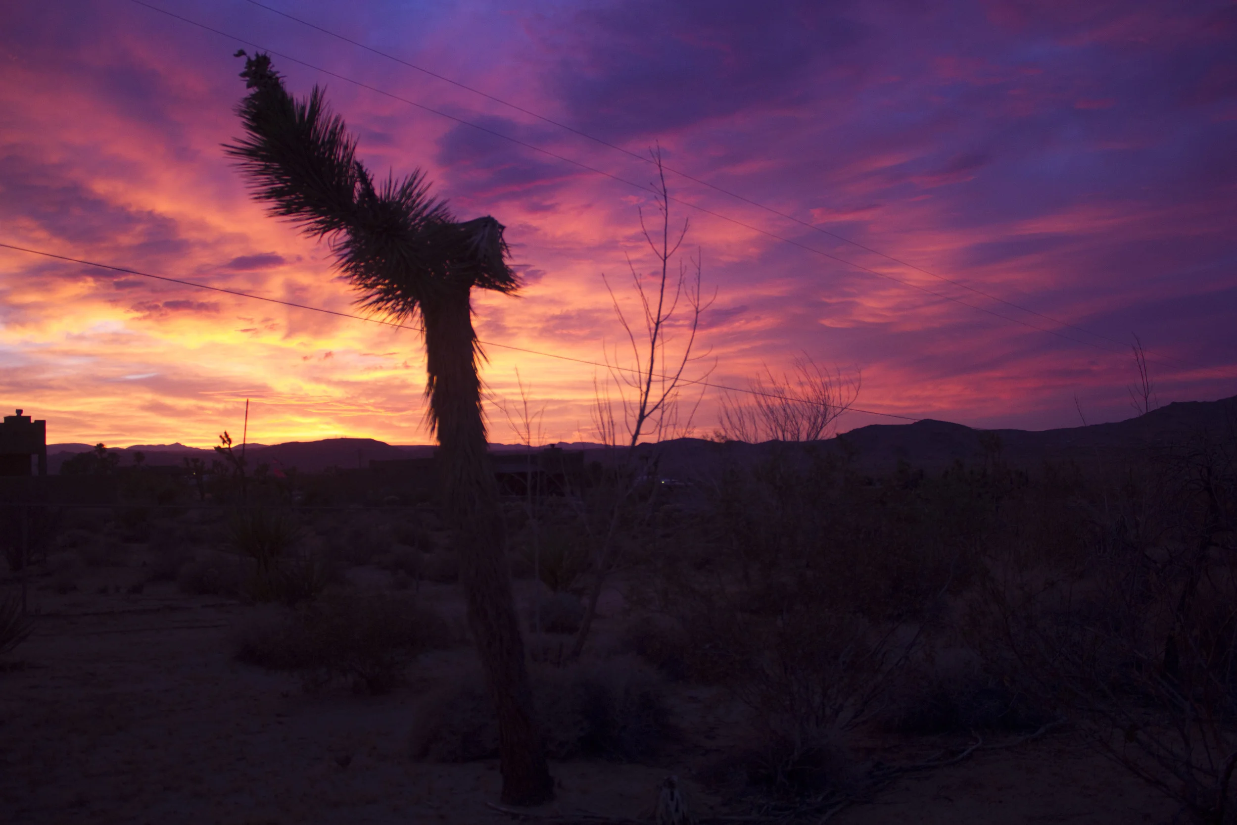 Joshua Tree sunset....ahhh...yeah....