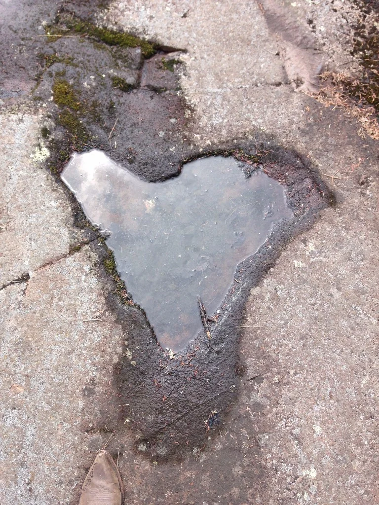 heart 9.jpg
