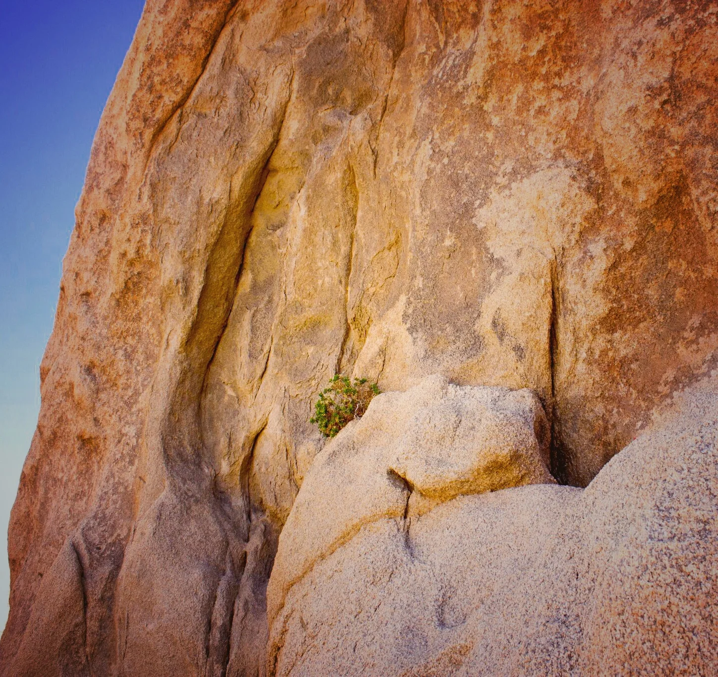 Large boulder rocks in Joshua Tree California