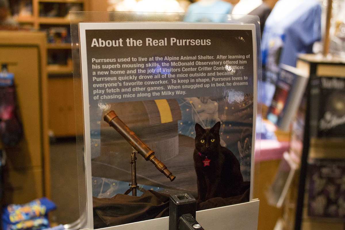 The Real Purrseus story, found in the MacDonald Observatory gift shop