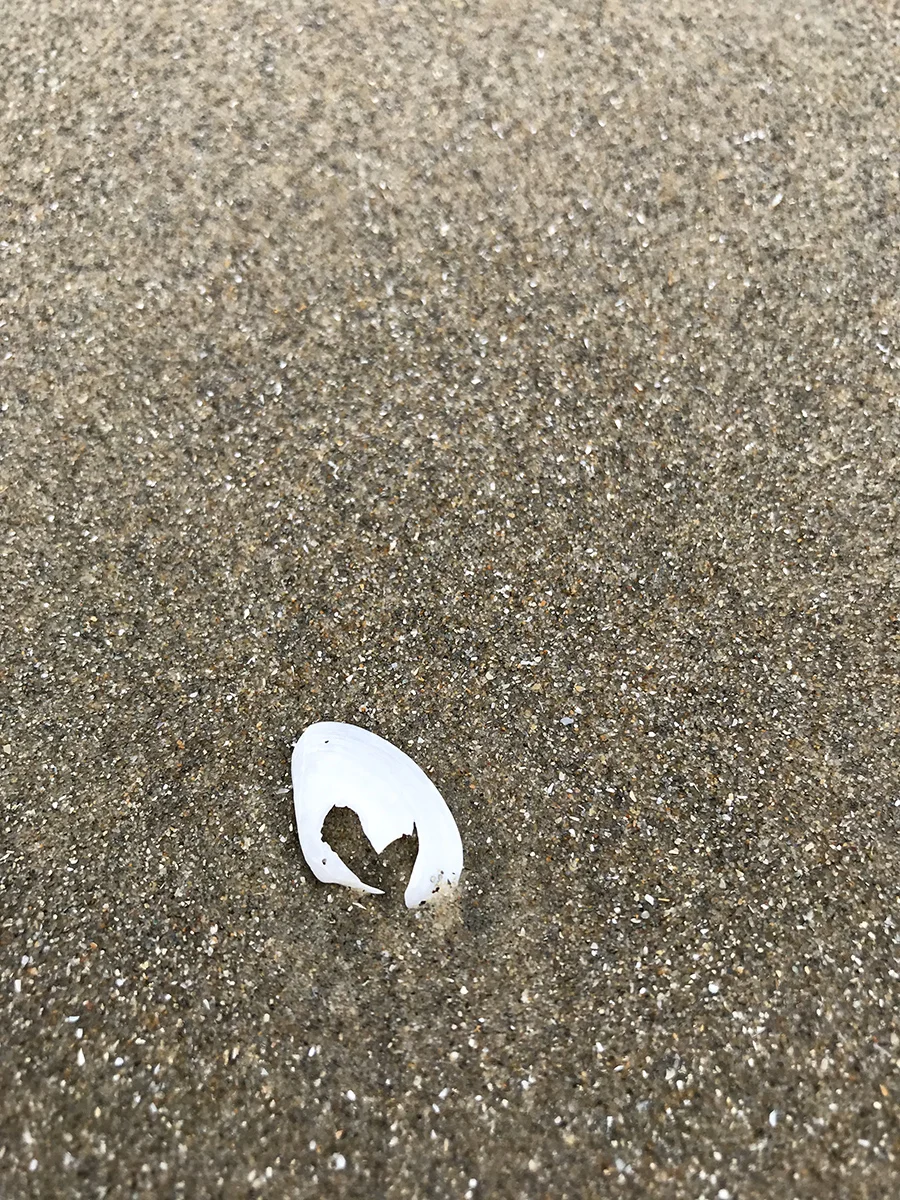 #heartshapedworld on Coronado Beach