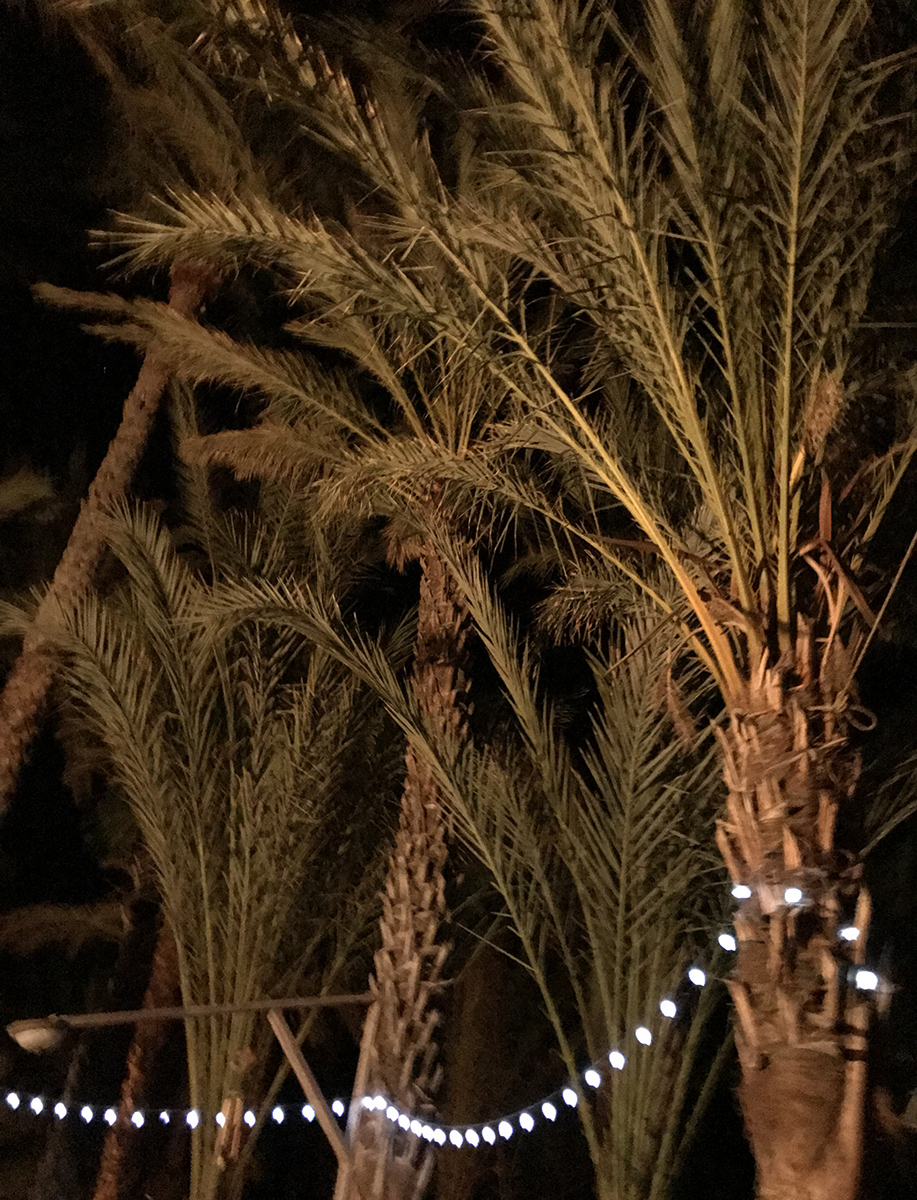Yurts, honor system bar, kayaking, and the oasis at night, I think I really dig this spot.