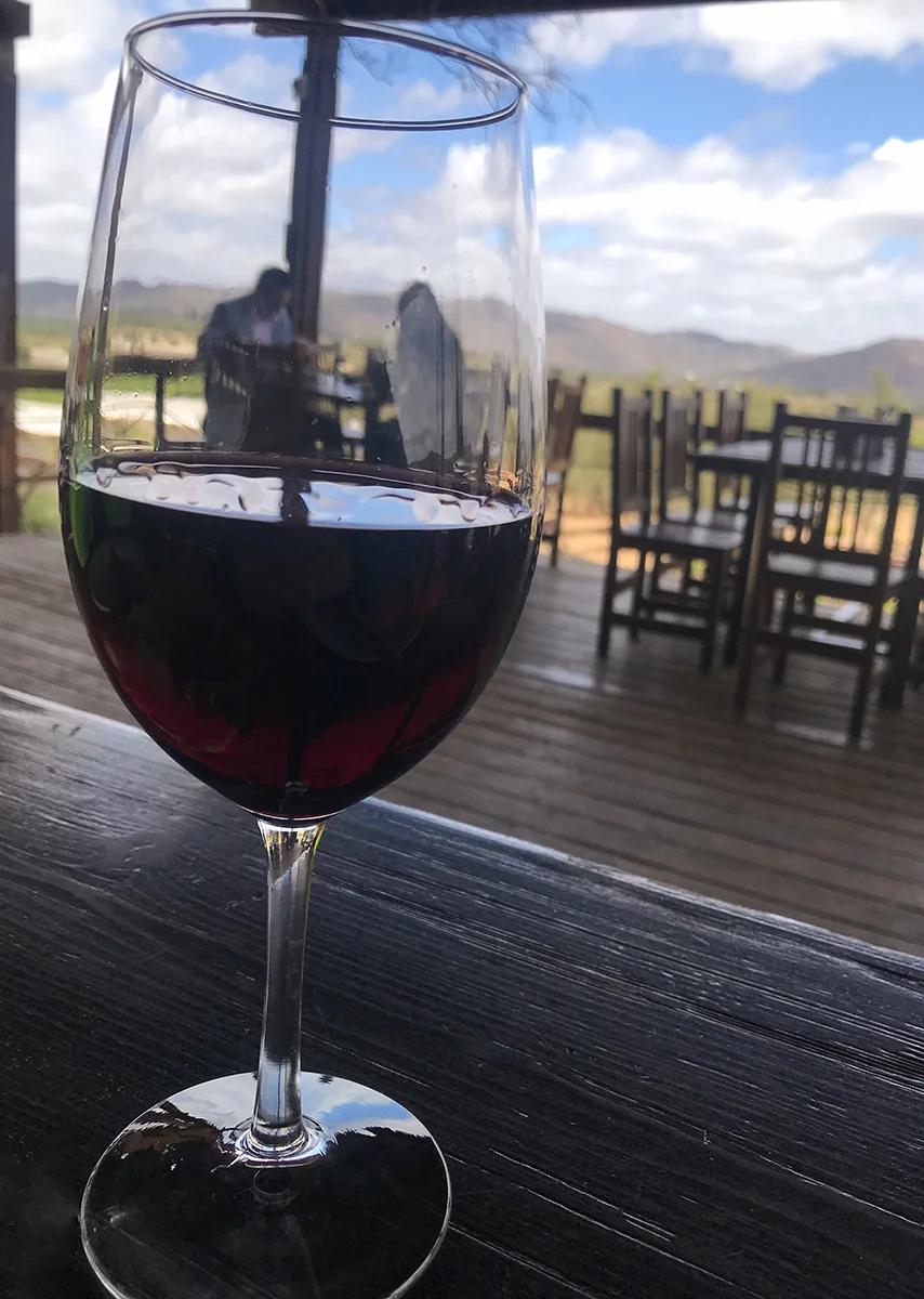 Wine and views at Finca Altozano, the best way to say “Adios” to Mexico.