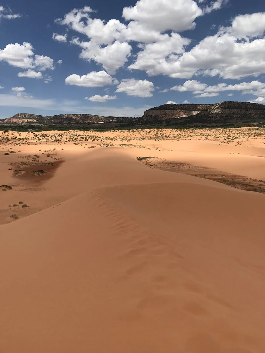 View from the top of the Coral Pink Sand Dunes.