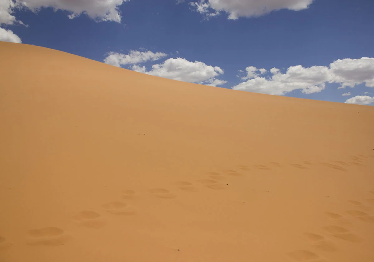 Foot steps leading up to the top of the sand dunes.