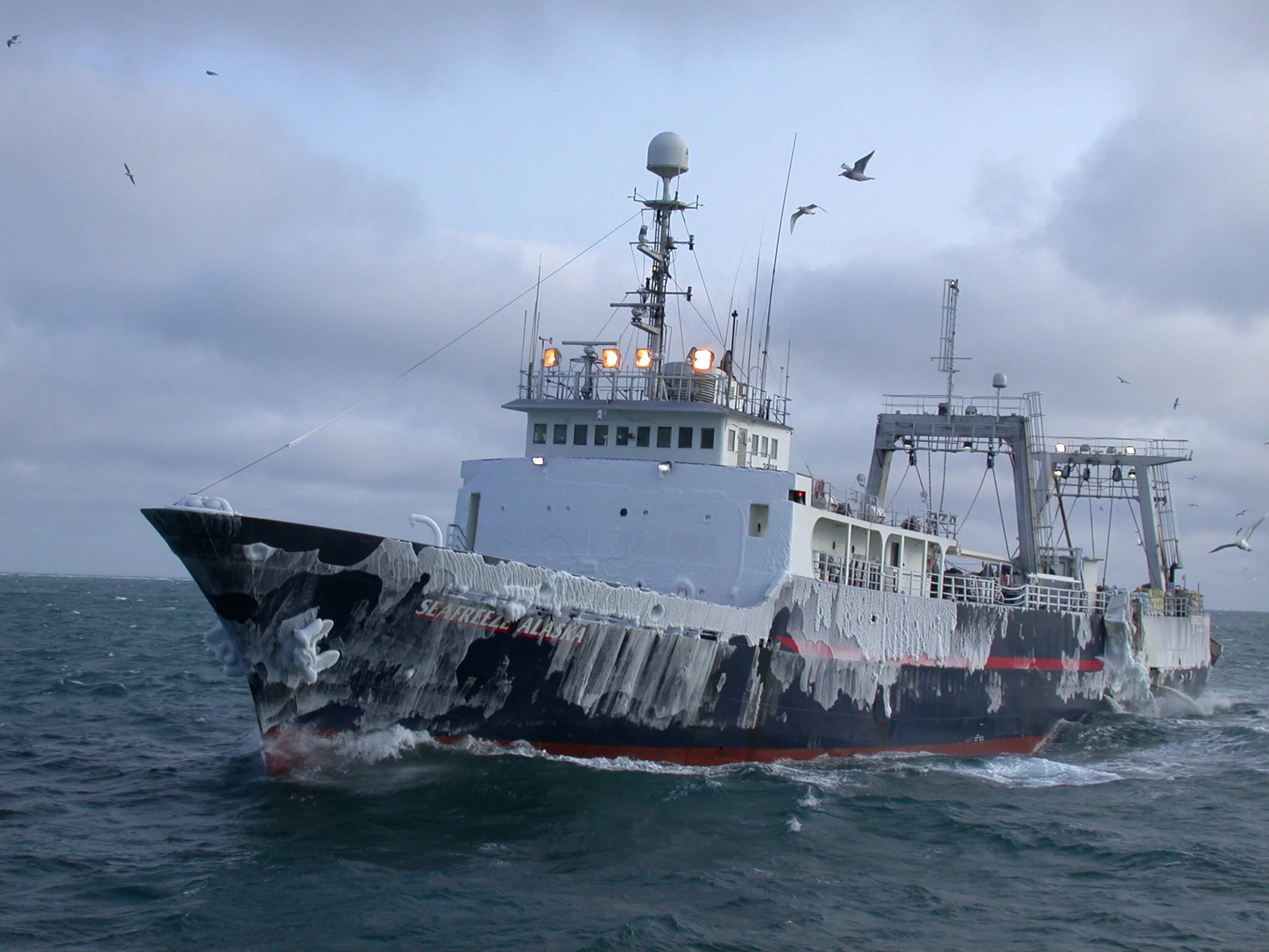 Alaska Provider 2017.04.08.JPG