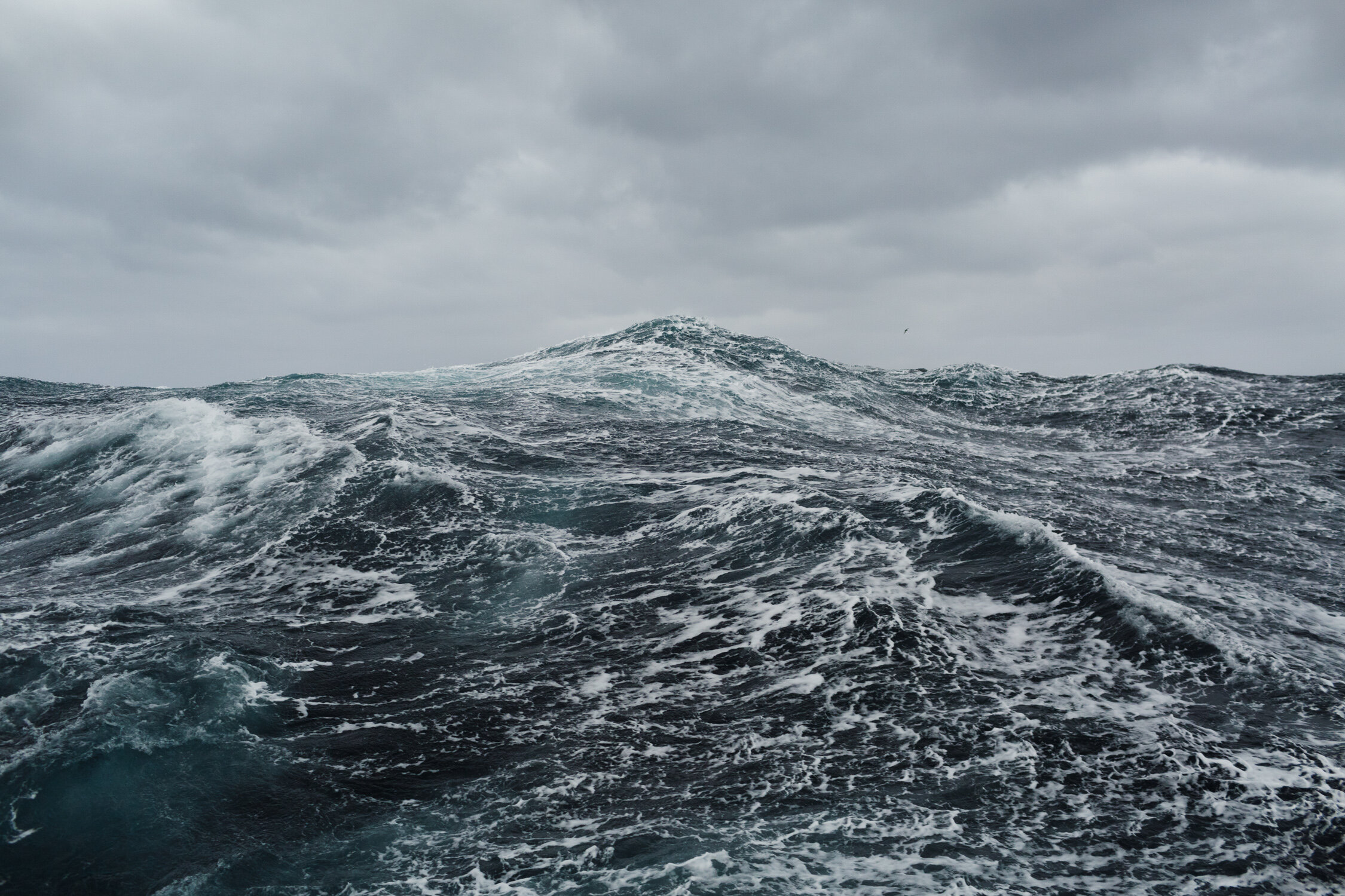 140126_Aleutians_14251-Edit.jpg
