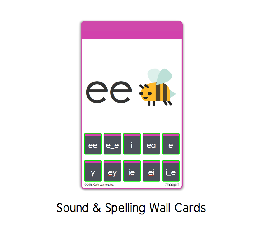 15 Sound & Spelling Cards.png
