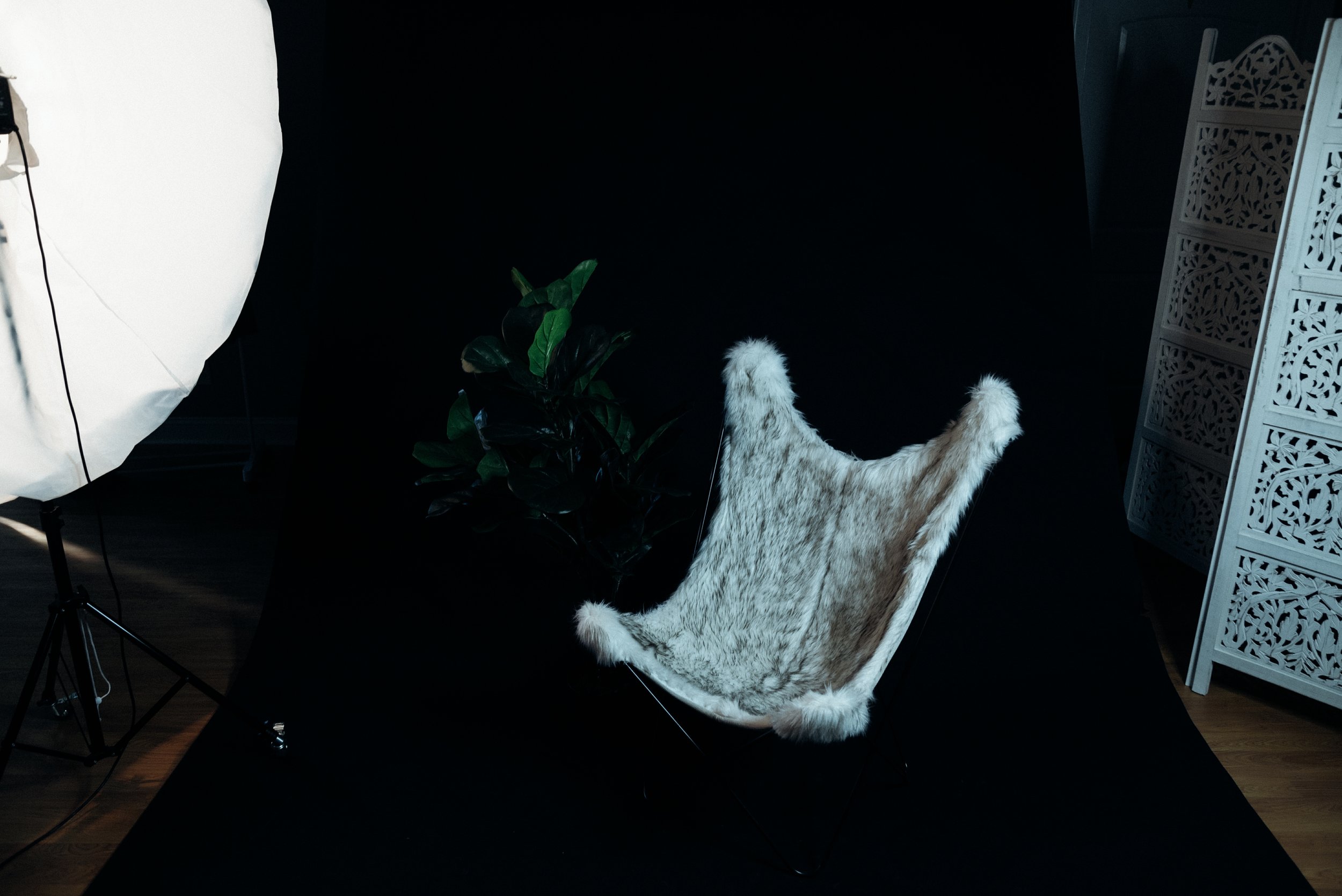 750_1871.jpg