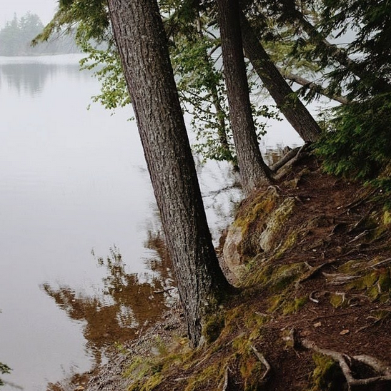 Canisbay Lake, Algonquin Park