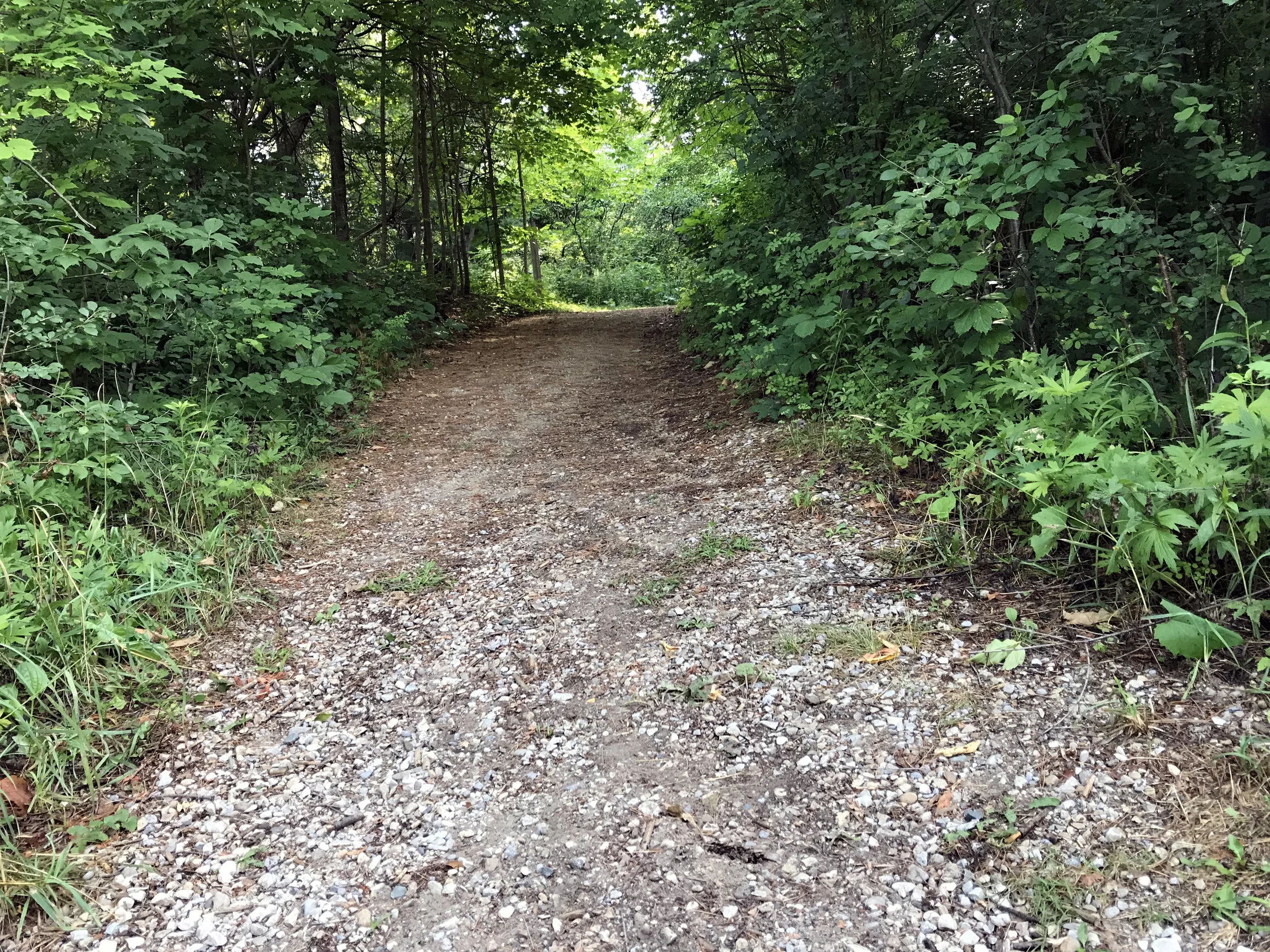 One of many hills.