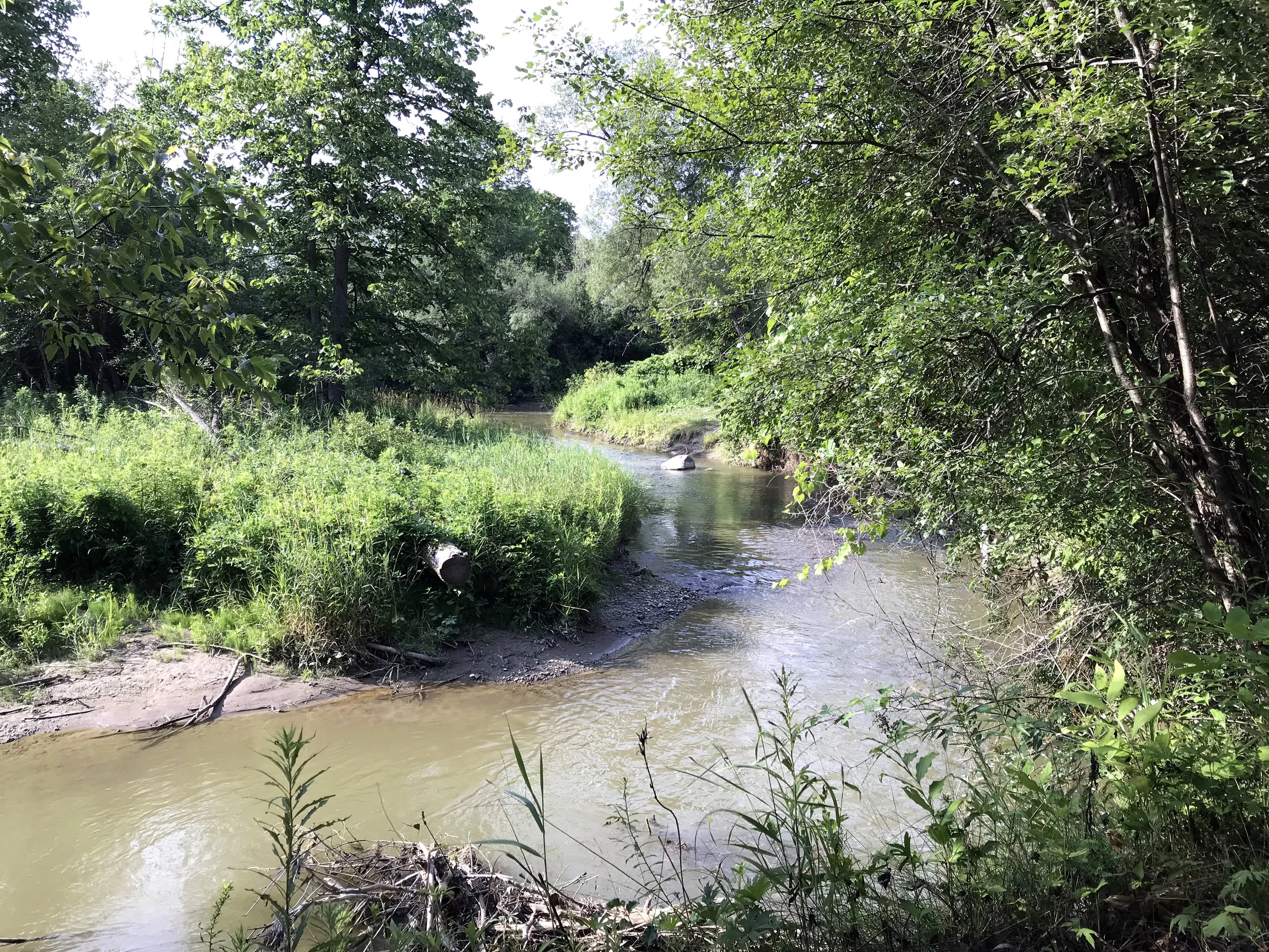 What a nice stream.&nbsp;